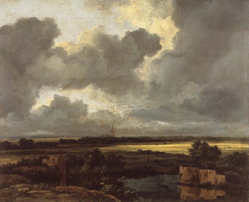 Jacob van Ruisdael An Extensive Landscape with Ruins Sweden oil painting art